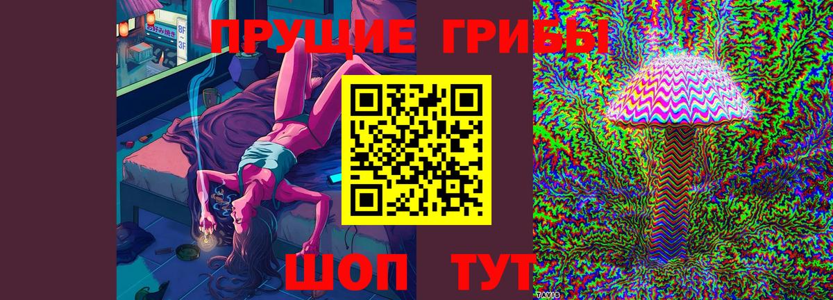 Камышлов  Галлюциногенные грибы ЛСД  Вход с VPN 