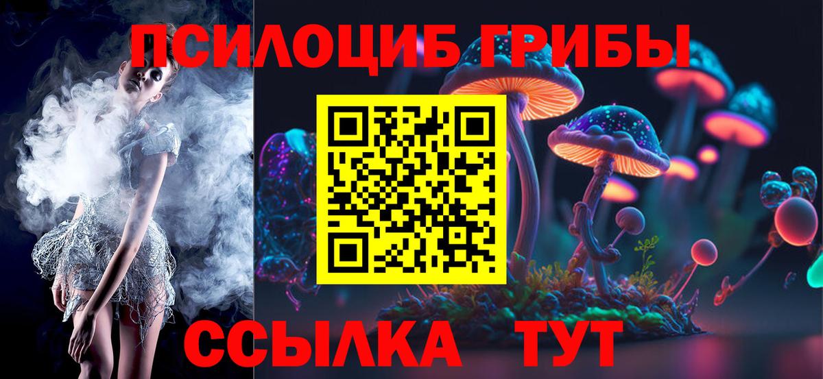 Меф Камышлов