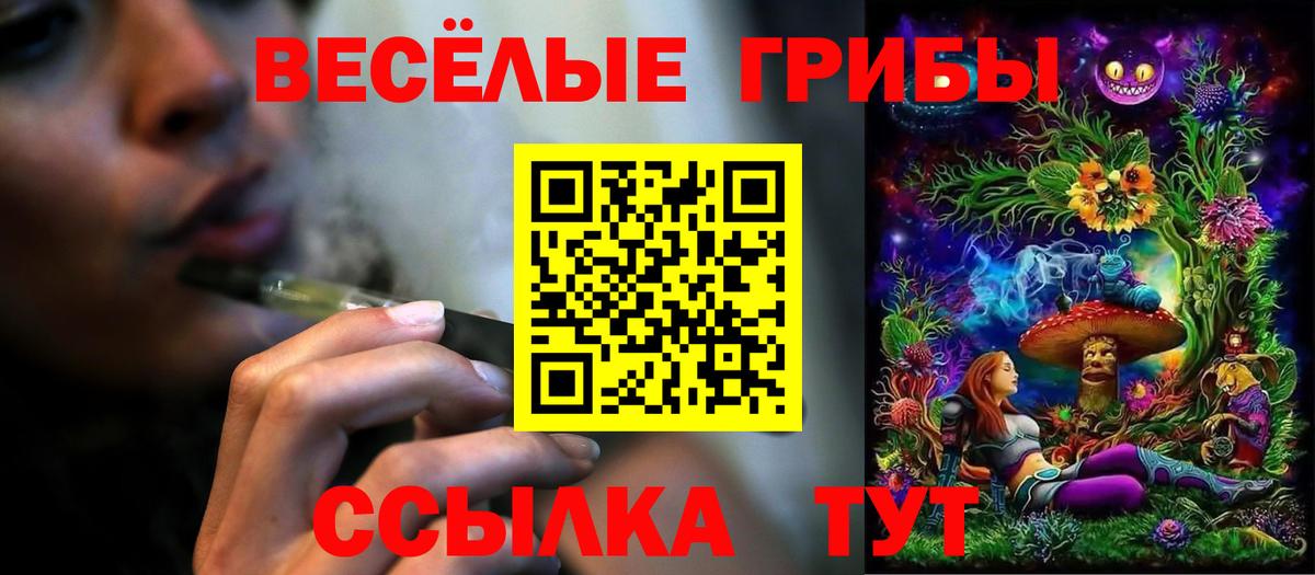 Псилоцибиновые грибы GOLDEN TEACHER Камышлов